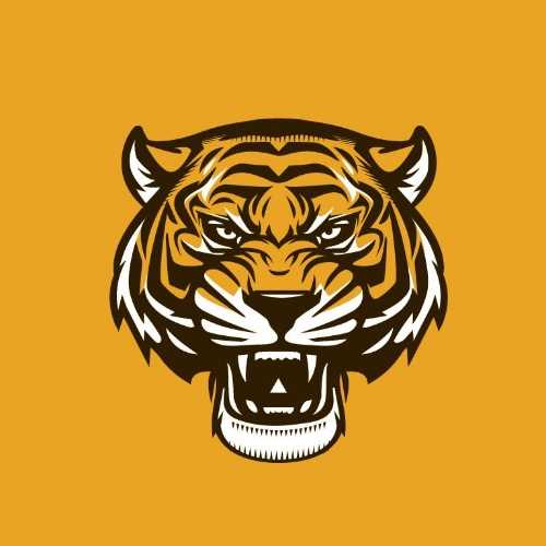 Tiger Shop avatar